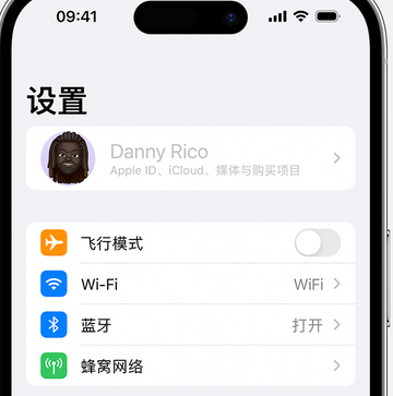 扎囊appleID维修服务iPhone设置中Apple ID显示为灰色无法使用