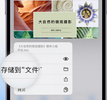 扎囊apple维修中心分享iPhone文件应用中存储和找到下载文件