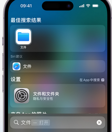 扎囊apple维修中心分享iPhone文件应用中存储和找到下载文件 