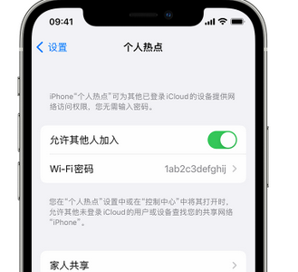 扎囊apple服务站点分享iPhone上个人热点丢失了怎么办 