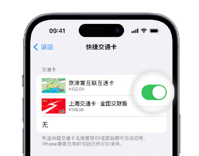 扎囊apple维修点分享iPhone上更换Apple Pay快捷交通卡手绘卡面 