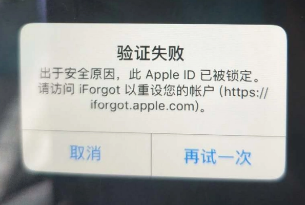 扎囊iPhone维修分享iPhone上正常登录或使用AppleID怎么办 