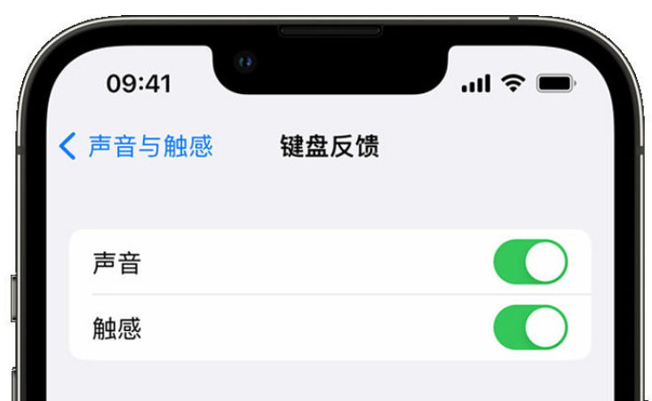 扎囊苹果手机维修分享iPhone 14触感键盘使用方法 