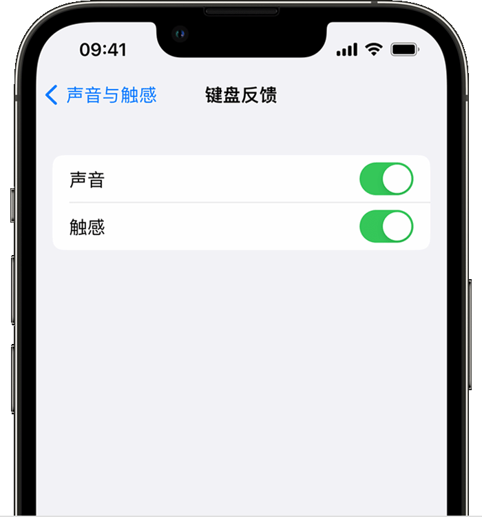 扎囊苹果14维修店分享如何在 iPhone 14 机型中使用触感键盘 