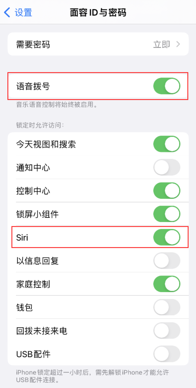 扎囊苹果维修网点分享不解锁 iPhone 的情况下通过 Siri 拨打电话的方法 