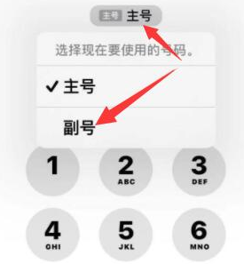 扎囊苹果14维修店分享iPhone 14 Pro Max使用副卡打电话的方法 