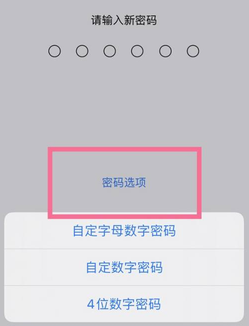 扎囊苹果14维修分享iPhone 14plus设置密码的方法 