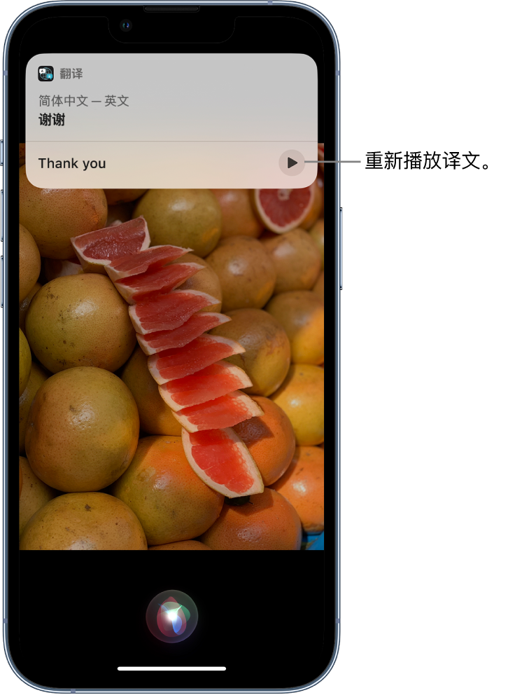 扎囊苹果14维修分享 iPhone 14 机型中使用 Siri：了解 Siri 能帮你做什么 