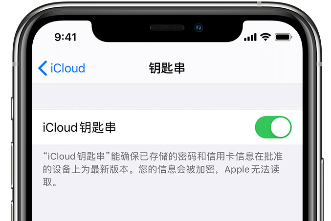 扎囊苹果手机维修分享在 iPhone 上开启 iCloud 钥匙串之后会储存哪些信息 