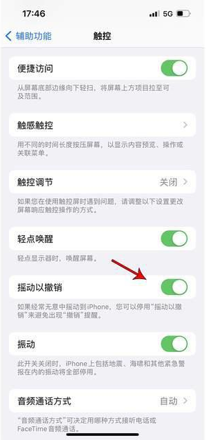 扎囊苹果手机维修分享iPhone手机如何设置摇一摇删除文字 