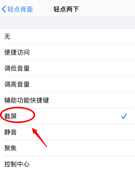 扎囊苹果手机维修分享iPhone12如何启用双击截屏 